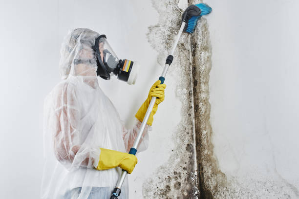 Best Post-Remediation Services in New Deal, TX