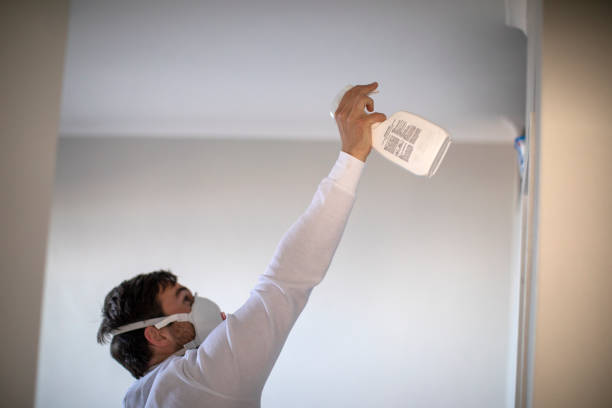 Best Mold Remediation for Schools in New Deal, TX