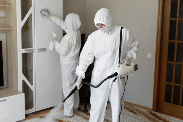 Best Post-Flood Mold Remediation in New Deal, TX