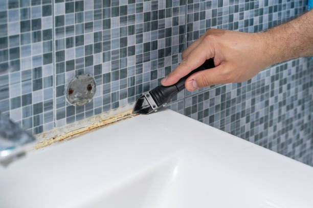 Reliable New Deal, TX Mold Remediation Solutions